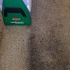 Professional Carpet Cleaning Company in Auckland