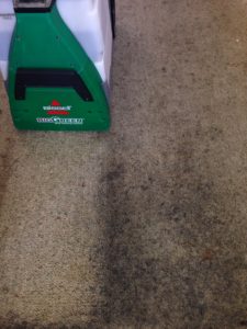 Professional Carpet Cleaning Company in Auckland